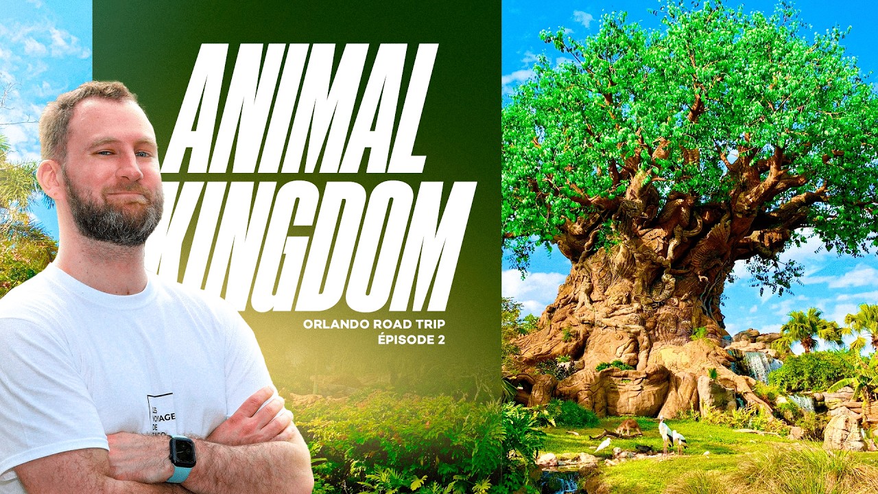 Journée inoubliable à Disney